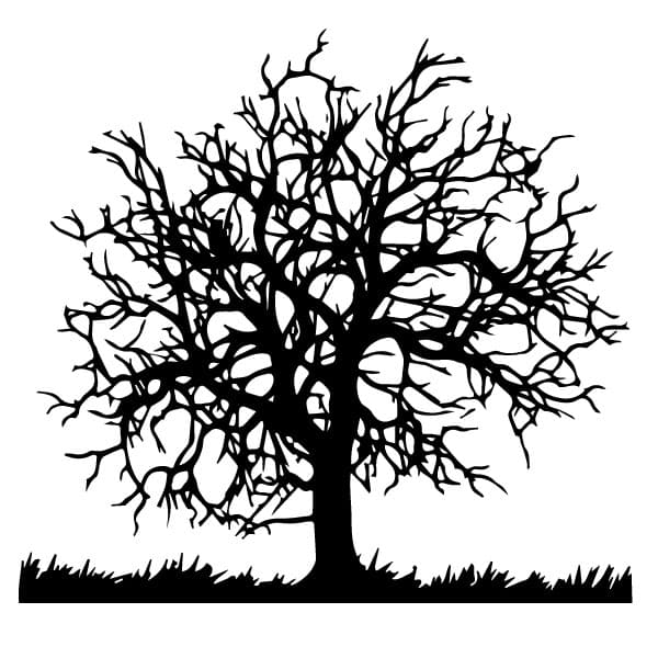 Tree silhouette