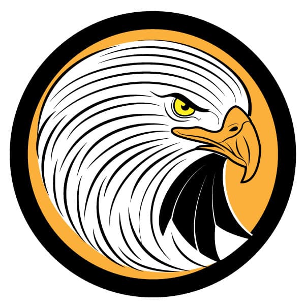 Falcon head circular logo design