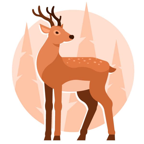 Wild Northern deer